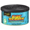 California Scents Laguna Breeze 42g